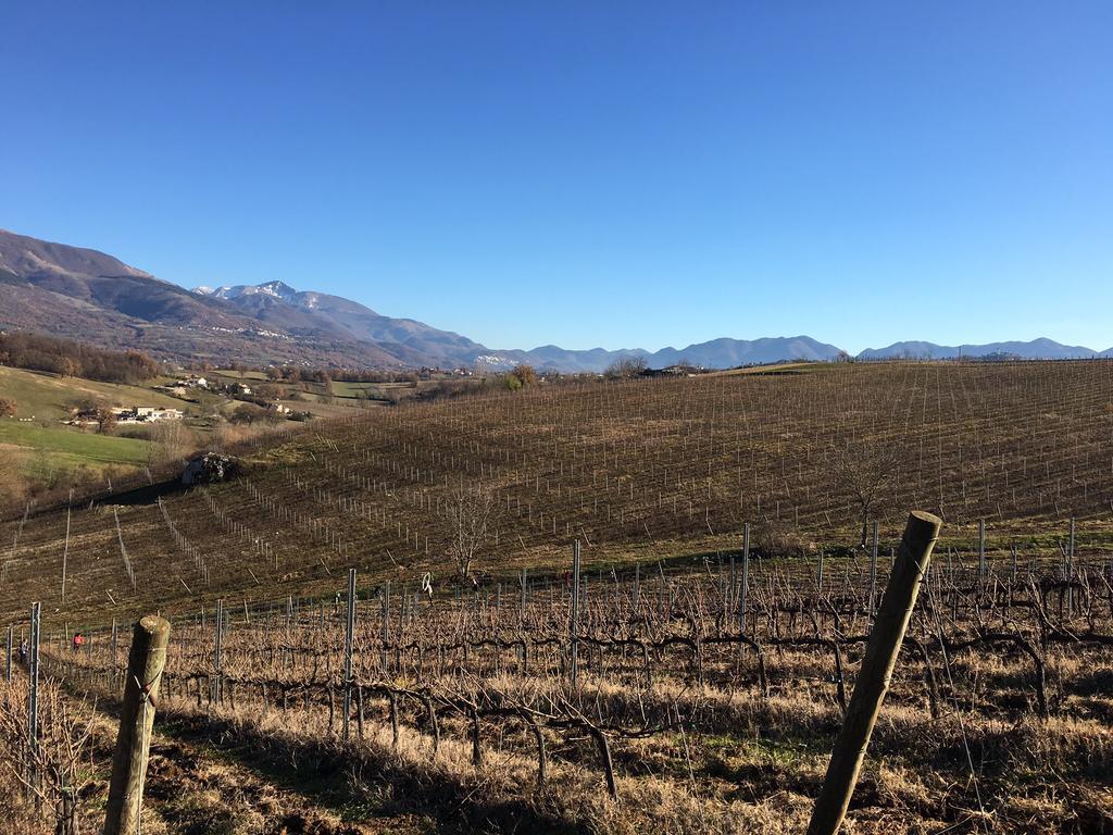 Alvito Agriturismo Di Charme Erbadoro מראה חיצוני תמונה