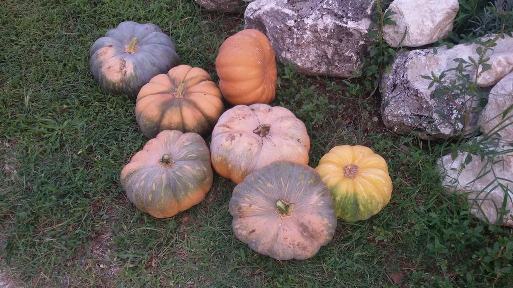 Alvito Agriturismo Di Charme Erbadoro מראה חיצוני תמונה