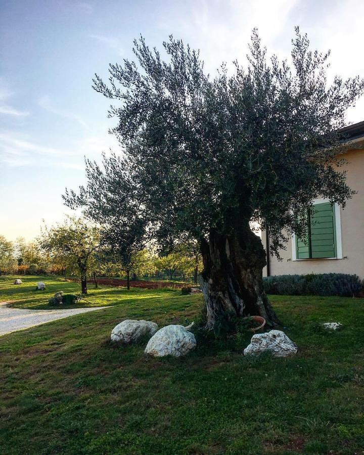 Alvito Agriturismo Di Charme Erbadoro מראה חיצוני תמונה