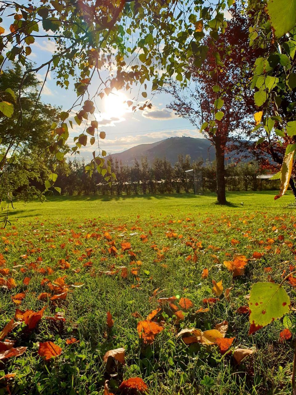 Alvito Agriturismo Di Charme Erbadoro מראה חיצוני תמונה
